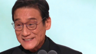 日日碰